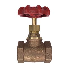 Globe Valve  1/2" NPT thread 200# w/Rubber Seat