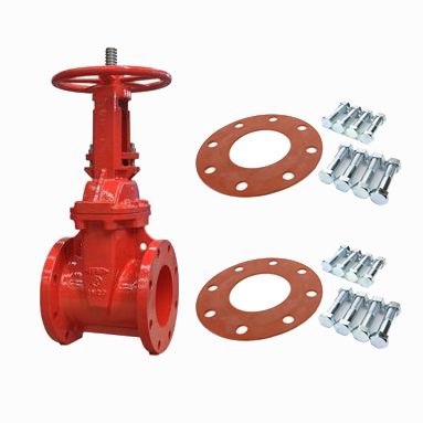 Fire Protection OS&Y Gate Valve D.I. Body Flanged 10" w/ two NBG kits