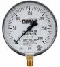 Fire Sprinkler Gauge Personalized 300# AIR/WATER Plastic Back <UL/FM>