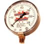 Fire Sprinkler Gauge Personalized 300# AIR/WATER Plastic Back <UL/FM>
