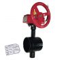 Fire Protection Butterfly Valve Groove 3" 300# UL,FM