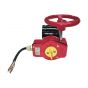 Fire Protection Butterfly Valve Groove 3" 300# UL,FM