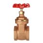 Brass Gate Valve 2" NPT thread 200#