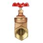 Brass Gate Valve 1" NPT thread 200#