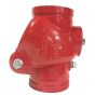 Fire Protection Grooved Check Valve 10" Ductile Iron Red