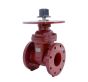 NRS Gate Valve D.I. Body-Flanged 2-1/2" 300PSI UL/FM